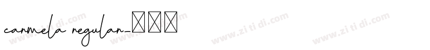 carmela regular字体转换